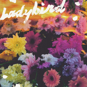 Ladybird (Explicit)