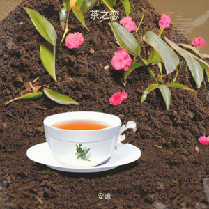 茶之恋