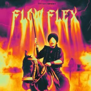 Flow Flex (Explicit)