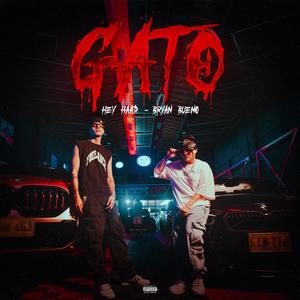 Gato (feat. BRYAN BUENO) (Explicit)
