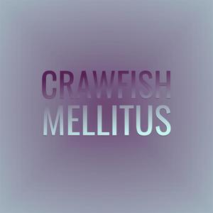 Crawfish Mellitus