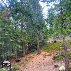 A.S.L.T.W (feat. Jacob Allen, GDGeezy & $unne Boii) (Explicit)