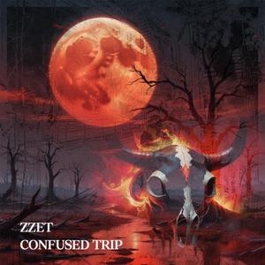 Confused Trip (Explicit)