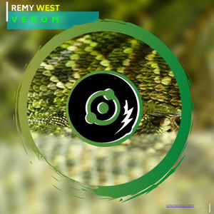 Venom (Original Mix)
