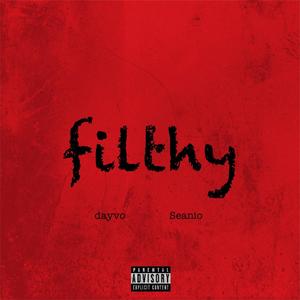 filthy (feat. Seanio) [Remix] [Explicit]