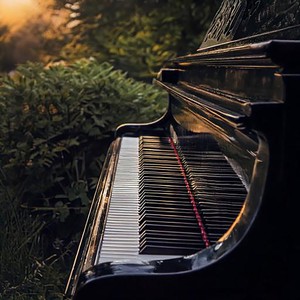 Reflexiones De Piano Se Profundizan