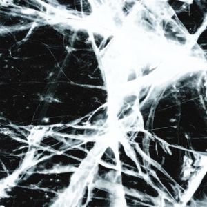 psychrophobia (prod. by vuksai) (Explicit)