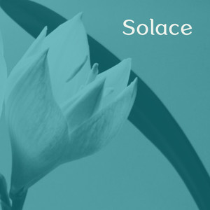 Solace