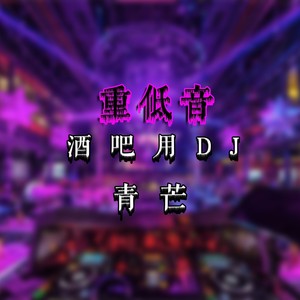 超级重低音低音炮测试专用炸街DJ (DJ版)