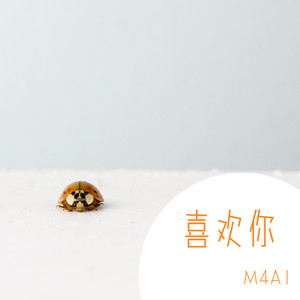 怪胎日记 (DJ版)