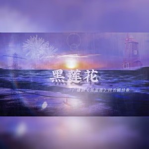 玑华 - 黑莲花