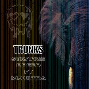 Trunks (feat. MJ Ultra)