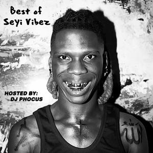 Best of Seyi Vibez 2023 (Vol 1)