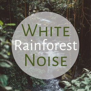 White Noise Rainforest - Entspannende Weißes Rauschen mit Tropische Naturgeräusche zum Loslassen