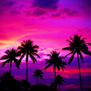 Goldchain - under the palm trees