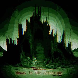 Boss: Decay in the Datascape