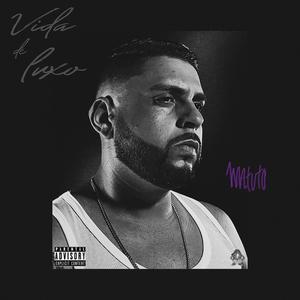 Vida de luxo (feat. DJ Artlow) [Explicit]