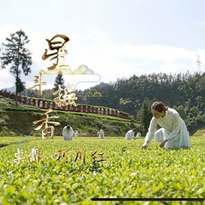 龚建利 - 茶苗苗 (伴奏)