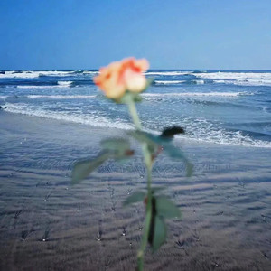 Dj B Remix - Running Up That Hill（极端天气）