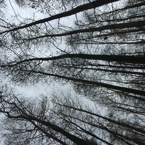 反方向的钟mix by J Lee