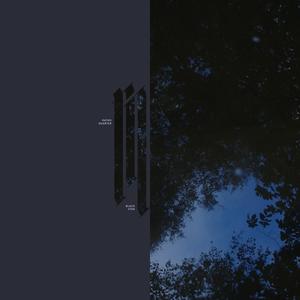 Black Star (feat. Jake Leyland)