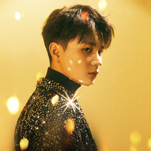 雾里 (0.8x降调|DJ Vermissen版)