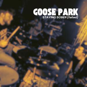 Staying Sober (failed)