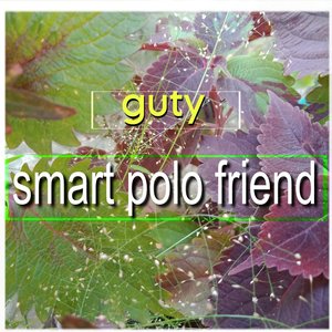 Guty - dealer car smart polo friend