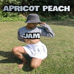 APRICOT PEACH JAM (Instrumental Version)