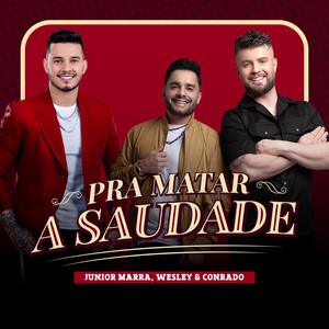 Pra Matar a Saudade (Ao Vivo) [Explicit]