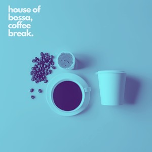 Stolen Dance (Vapor Bossa Version)