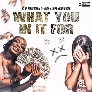 What You In It For (feat. G- Dirty, Sippa & Che D’ Ness) (Explicit)
