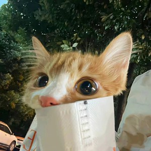 那么纷争开始了 (鸿门旋律)