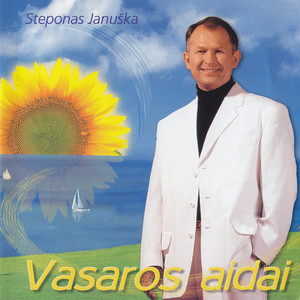 Vasaros Aidai