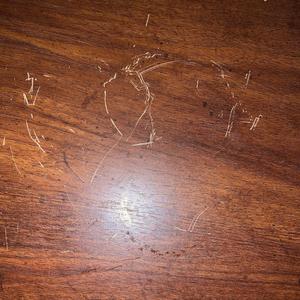 Over Me _ Over You (Explicit)