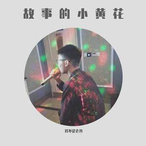 这一生关于你的风景