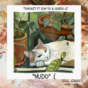 NUDO (feat. Don Ese Ache ML & Gordo G ML) [Explicit]