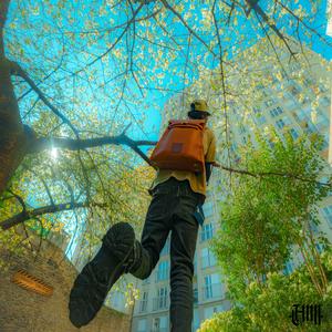 Lequel va mfaire (Explicit)