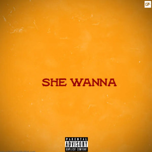 She Wanna (Explicit)