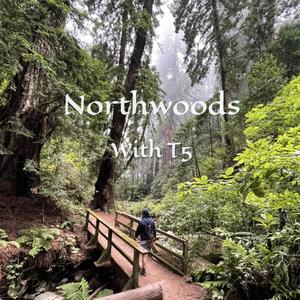 Northwoods (feat. T5) (Explicit)