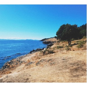 High in my Room(feat. Stogey) (Explicit)