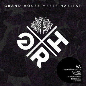 Grand House Meets Habitat