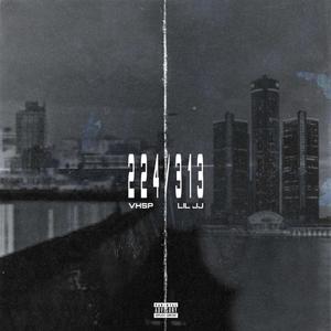 224-313 (feat. VHSP) (Explicit)
