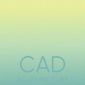 Cad Acupuncture