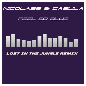 Feel So Blue (Lost in the Jungle Remix)