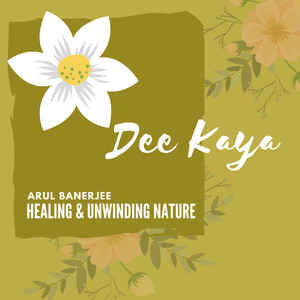 Spiritual Healing (Original Mix)