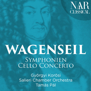 Symphonie in D Major, WV 374 - I. Allegro