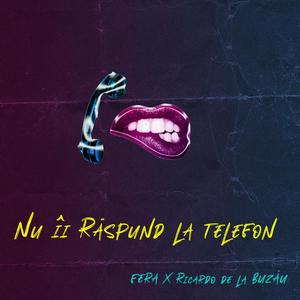 NU-I RASPUND LA TELEFON (feat. Haralambie Gabriel)