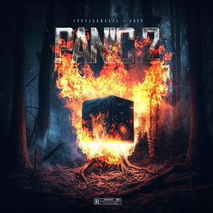 Panic 2 (feat. seif) (Explicit)