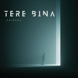 Tere Bina